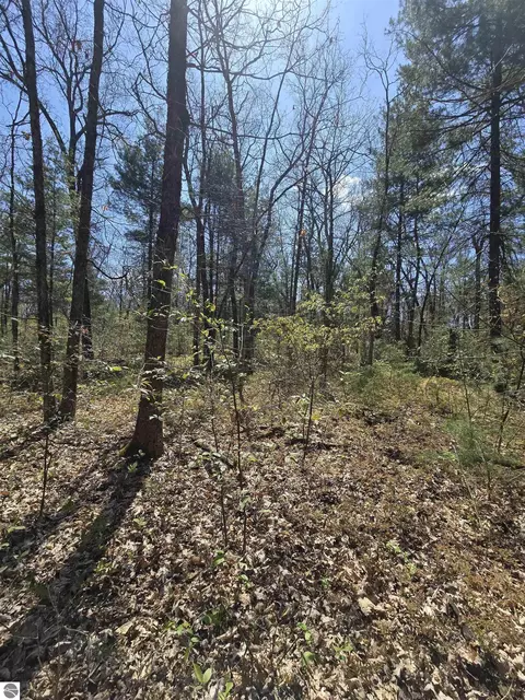 tbd S Locust Ave, White Cloud, MI 49349