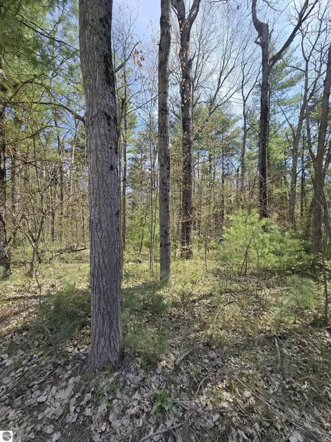 tbd S Locust Ave, White Cloud, MI 49349 photo 2