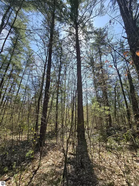 tbd S Locust Ave, White Cloud, MI 49349 photo 5