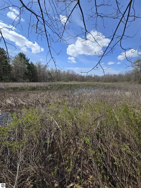 tbd E Baseline Rd, White Cloud, MI 49349