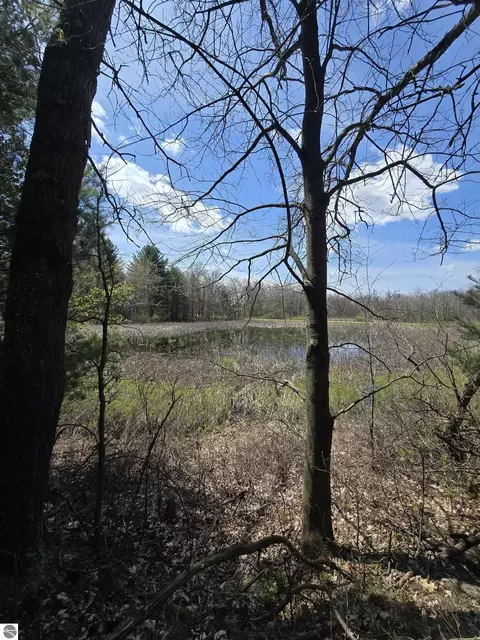 tbd E Baseline Rd, White Cloud, MI 49349 photo 3