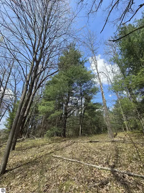 tbd E Baseline Rd, White Cloud, MI 49349 photo 2