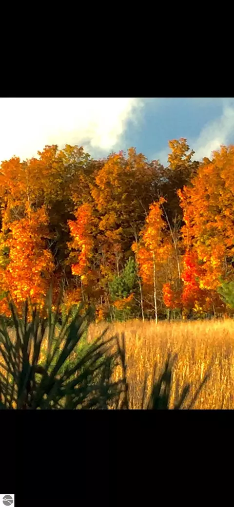 Valley Road, Rapid City, MI 49676