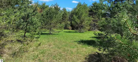 tbd Johnson Rd, Mancelona, MI 49659