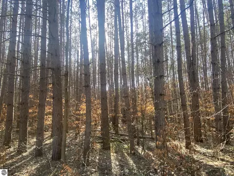 Deer Run Drive, Cadillac, MI 49601