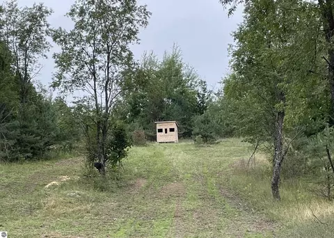 00 Vl Peterson Rd, Mancelona, MI 49659