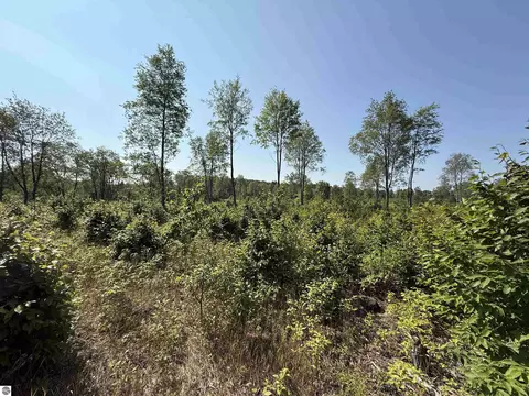 3 East Kasson Road, Maple City, MI 49664