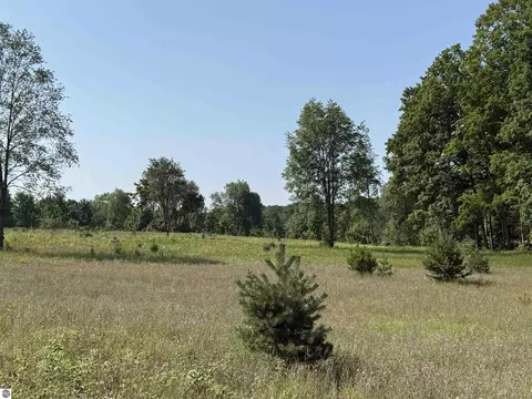 Parcel A 6 S Bright Road, Maple City, MI 49664