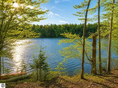 Vl Acorn Ridge Trail, Beulah, MI 49617