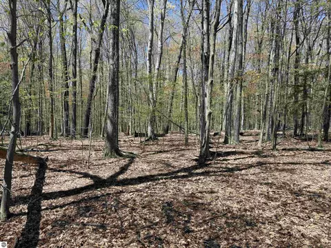 0000 Martin Rd, Beulah, MI 49640