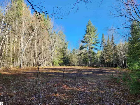 00 Adams Rd, Kalkaska, MI 49646