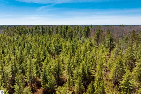 2 Mud Lake Rd, Interlochen, MI 49643 photo 5