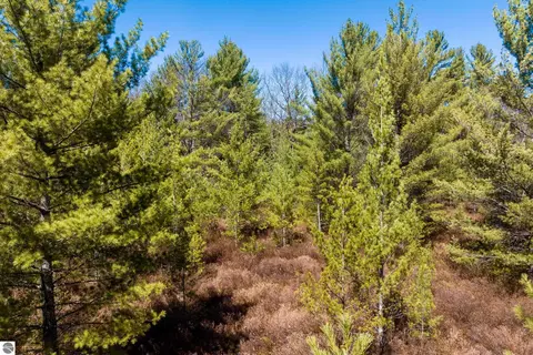 2 Mud Lake Rd, Interlochen, MI 49643 photo 8