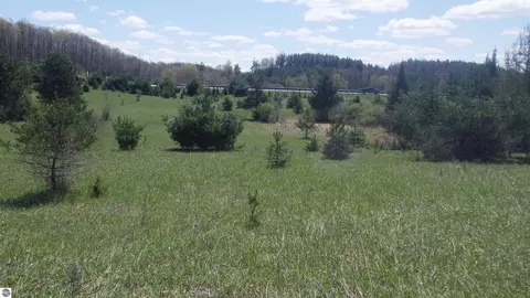 39 Road, Cadillac, MI 49601
