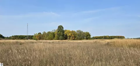 8620 Francis Dr, Elmira, MI 49730