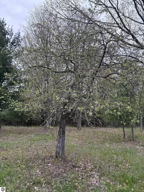 0 Shanty Creek Rd, Bellaire, MI 49615