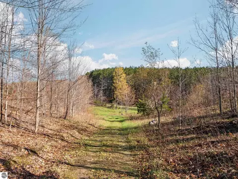 00 E 20 Rd, Mesick, MI 49663 photo 5