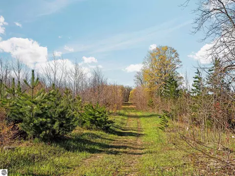 00 E 20 Rd, Mesick, MI 49663 photo 16
