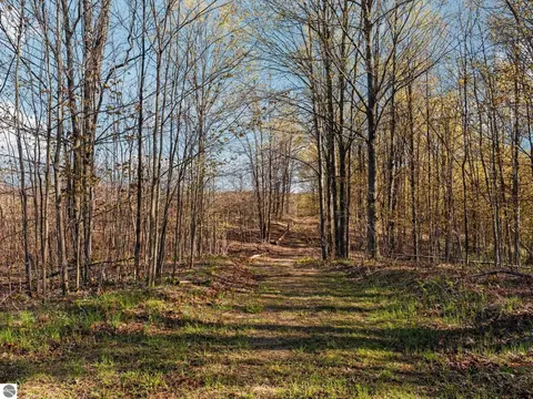 00 E 20 Rd, Mesick, MI 49663 photo 3