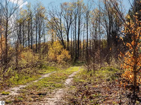 00 E 20 Rd, Mesick, MI 49663 photo 8
