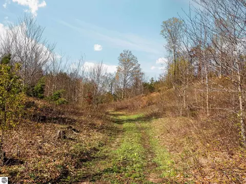 00 E 20 Rd, Mesick, MI 49663 photo 15
