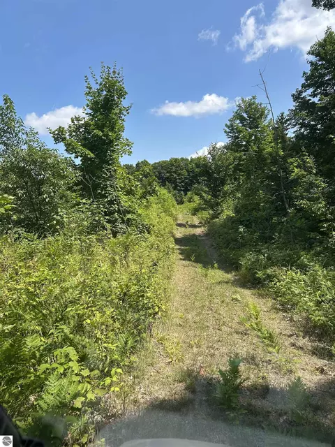 00 E 20 Rd, Mesick, MI 49663 photo 22