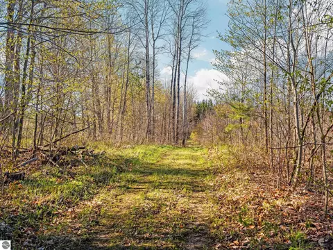 00 E 20 Rd, Mesick, MI 49663 photo 17
