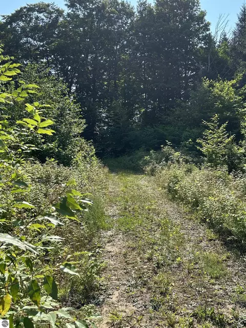 00 E 20 Rd, Mesick, MI 49663 photo 25