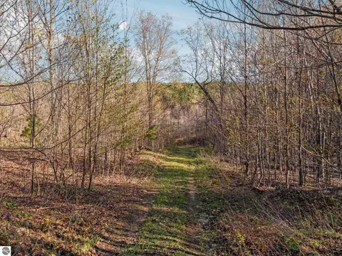 00 E 20 Rd, Mesick, MI 49663 photo 13