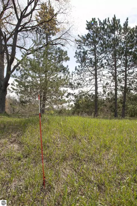 0002 M-66 SE, Fife Lake, MI 49633