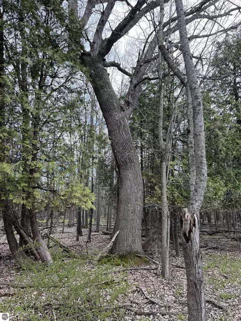 Nka Pine River Road, Standish, MI 48658