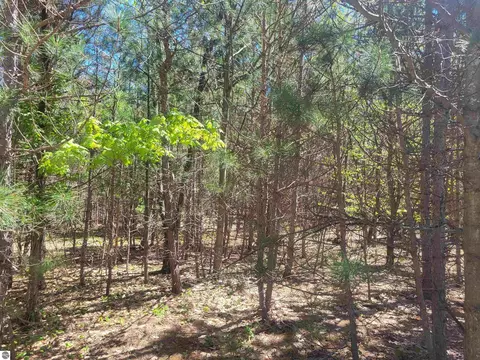 00 N Hulbert Rd, Interlochen, MI 49643 photo 11
