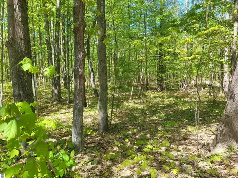 00 N Hulbert Rd, Interlochen, MI 49643 photo 8