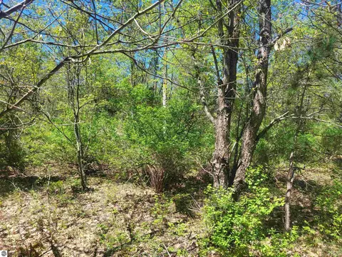 00 N Hulbert Rd, Interlochen, MI 49643 photo 12