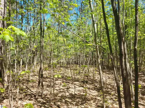 00 N Hulbert Rd, Interlochen, MI 49643 photo 10