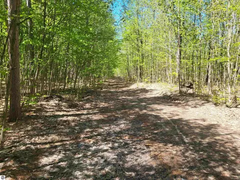 00 N Hulbert Rd, Interlochen, MI 49643 photo 2