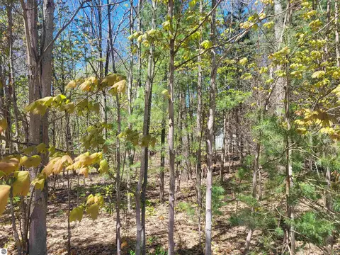 00 N Hulbert Rd, Interlochen, MI 49643 photo 14