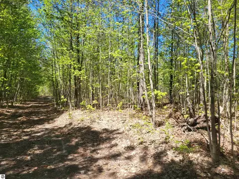 00 N Hulbert Rd, Interlochen, MI 49643 photo 9