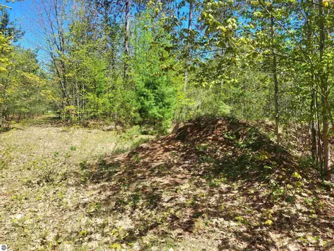 00 N Hulbert Rd, Interlochen, MI 49643 photo 4