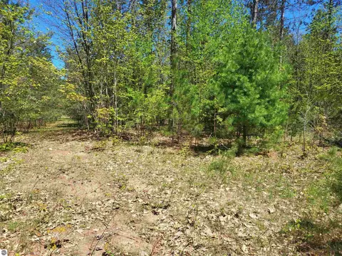 00 N Hulbert Rd, Interlochen, MI 49643 photo 3