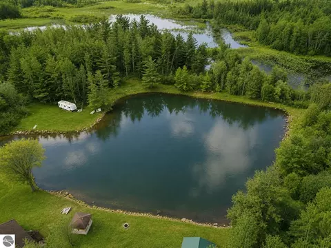 90 River Dr, Merritt, MI 49667