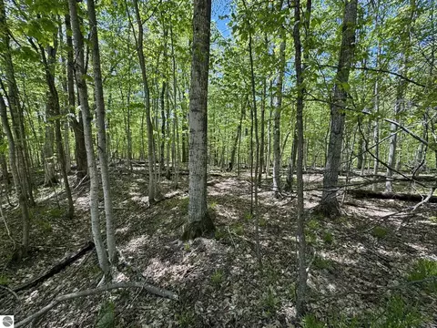 1801 E Old Mountain Rd, Cedar, MI 49621 photo 21