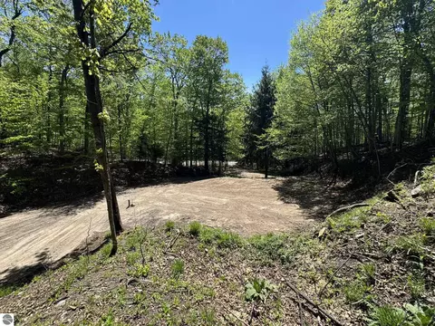 1801 E Old Mountain Rd, Cedar, MI 49621