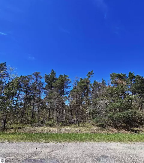 253 Country Club Dr, Mancelona, MI 49659