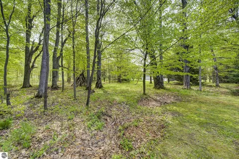 Exterior - 4451 S Hemlock Rd, Cedar, MI 49621 photo 7 of 8