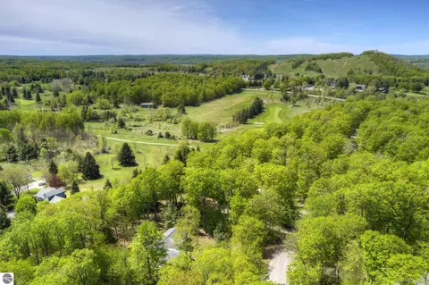 View/Area - 4451 S Hemlock Rd, Cedar, MI 49621 photo 2 of 3