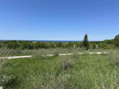 3 Foxview Dr, Charlevoix, MI 49720 photo 11