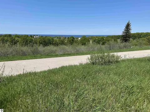 3 Foxview Dr, Charlevoix, MI 49720 photo 3