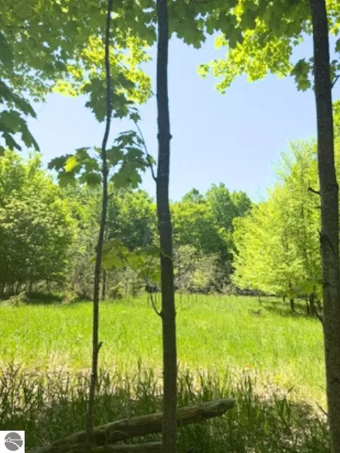 Vl Loomis Road, East Jordan, MI 49727