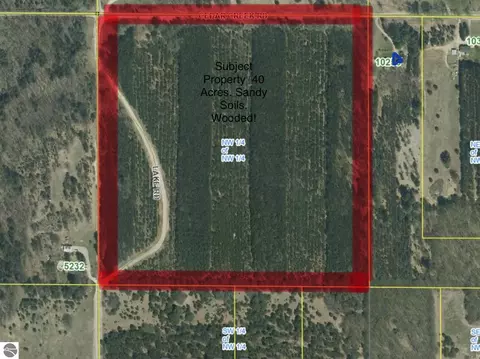Acreage-40 Cedar Creek Road, Fife Lake, MI 49633